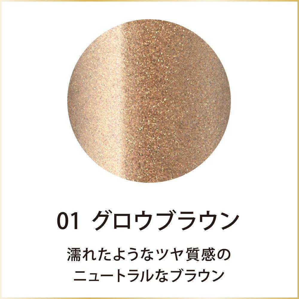 Coffret D'Or Eye Gloss Contour Eye Gloss 01 Glow Brown