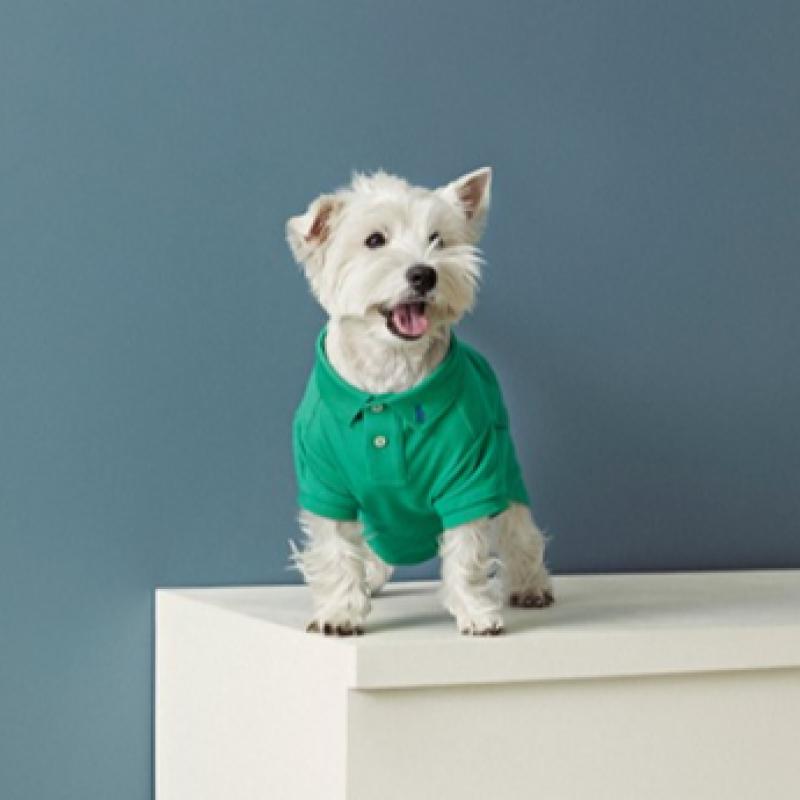Ralph Lauren Cotton Mesh Dog Polo Shirt Hmpopap56320003300