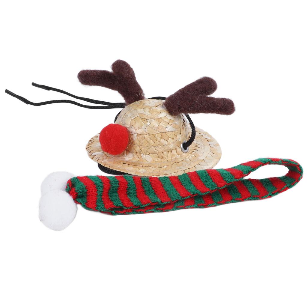Bearded Dragon Santa Hat Cute Soft Scarf Size Bright Colors Santa Hat with Scarf