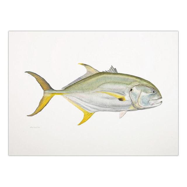 Decorative Painting Retro Fish Restaurant Hotel Paintings Animal Print Wall Pictures for Living Room Flatfish Wall Art Canvas