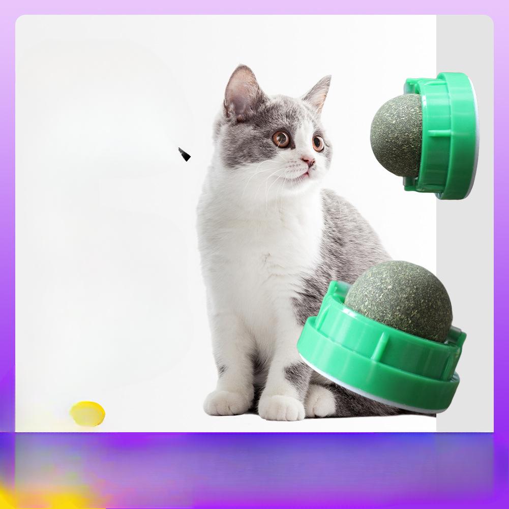 Catnip Ball Cat Rotating Toy  Teeth Cleaning  Bite-resistant  Fixed Cat Self-pleasure Licking Pet Supplies