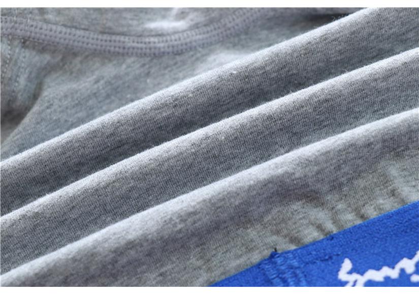 Women's Pure Cotton Breathable Antibacterial Triangle Briefs with Wide Waistband, Boyshorts, and Trendy Letter Design.