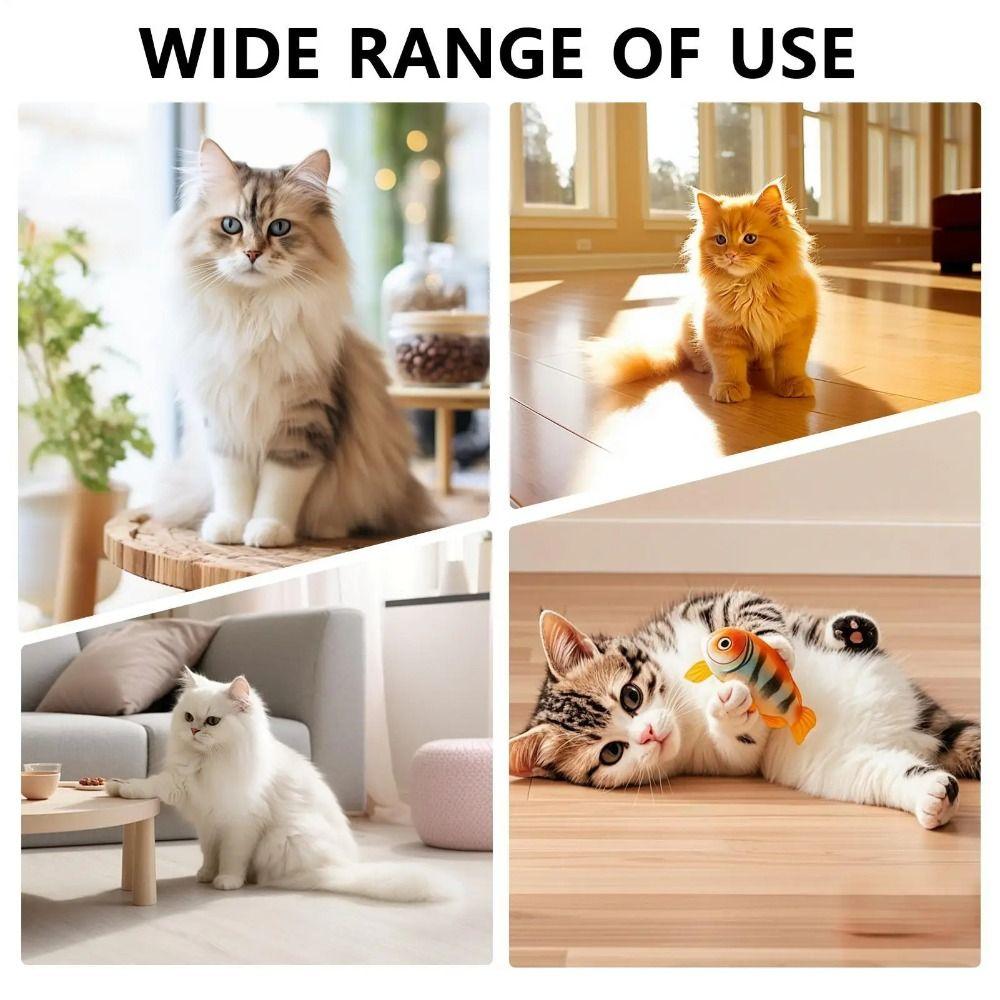Creative Pet Puzzle Track Toy Funny Cat Exercise Toy Interactive Cat Puzzle Box  Cat Supplies