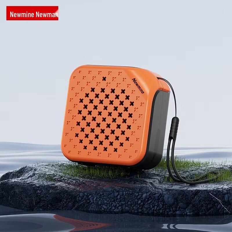Newmine PBS001-TWS Mini Bluetooth Speaker for Payment Broadcast CN plug (adapter included)