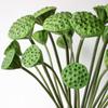 Romantic Artificial Lotus Handmade Fake Lotus Branch Floral Decor Simulation Lotus Leaf  Garden