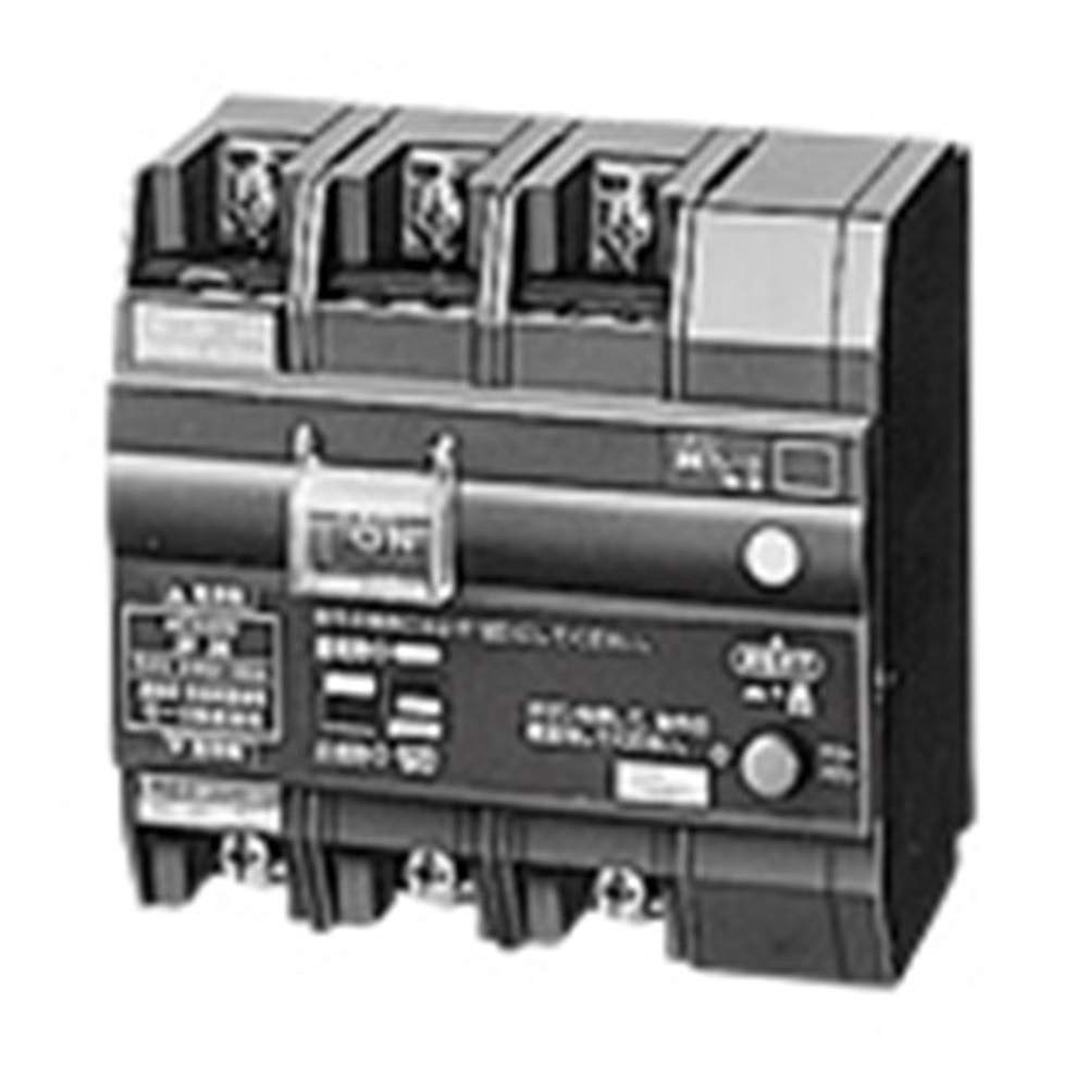 Panasonic Interruptor diferencial de control remoto Green Power para protección de motor, tipo 3P3E, trifásico, 200 V, 15 A, 30 mA, CA, 200 V, BYR31532