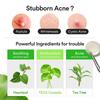 ABIB Heartleaf Calming Spot Patch
