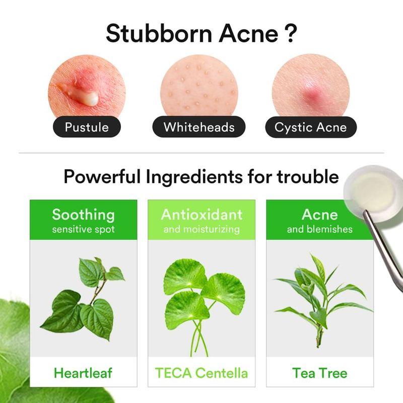 ABIB Heartleaf Calming Spot Patch