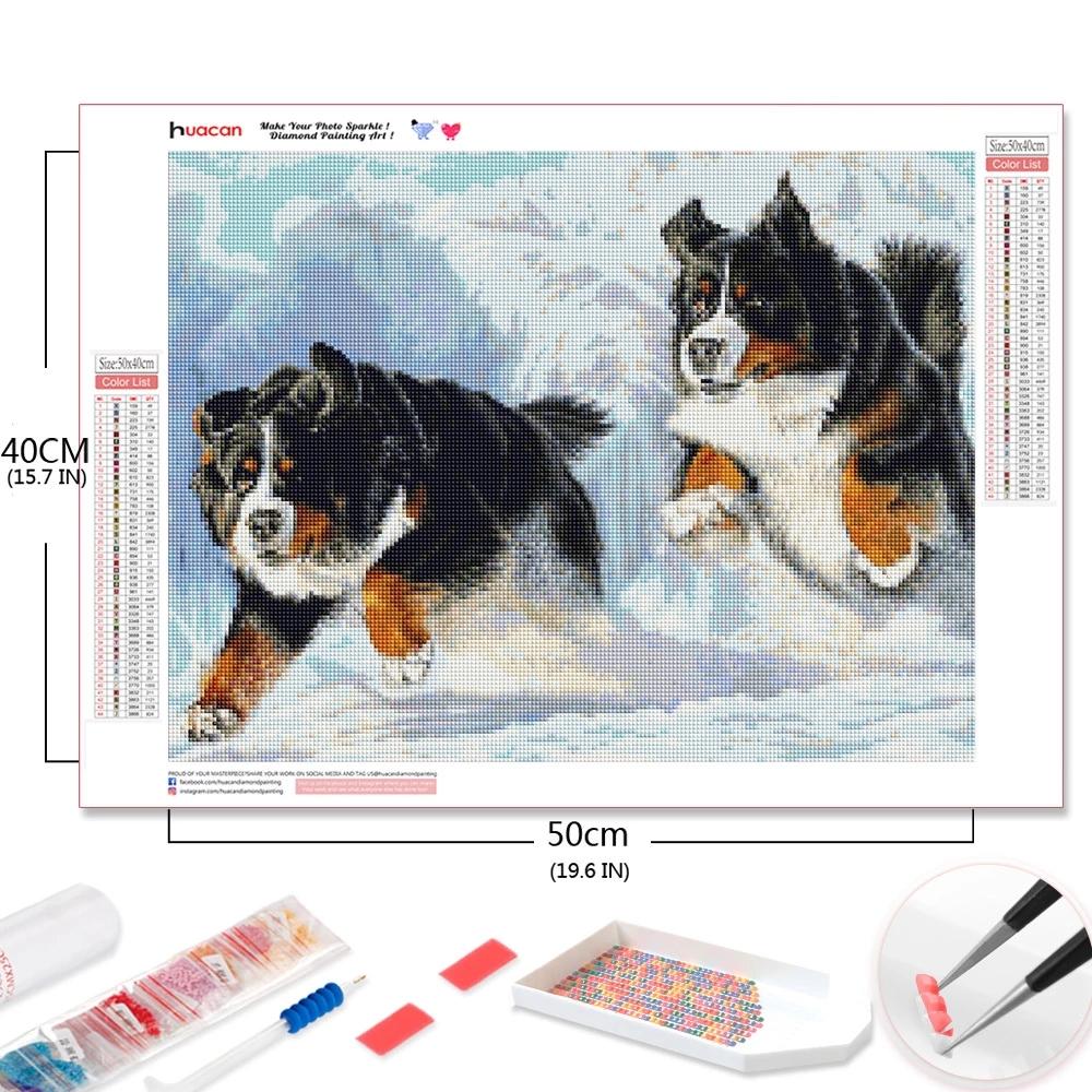 

Алмазная мозаика Huacan с собакой, животное, 5D DIY, алмазная живопись, снег, зима, полная квадратная/круглая дрель, вышивка, ремесло Full Square 20*30 cm