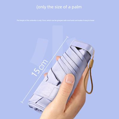 Accessories – Paraplyer