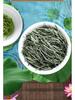 Mao Jian 2025 Pre-Rain High Mountain Green Tea Buds, 500g Can, Rich Aroma, Durable Infusion, Spring Tea Gift Box