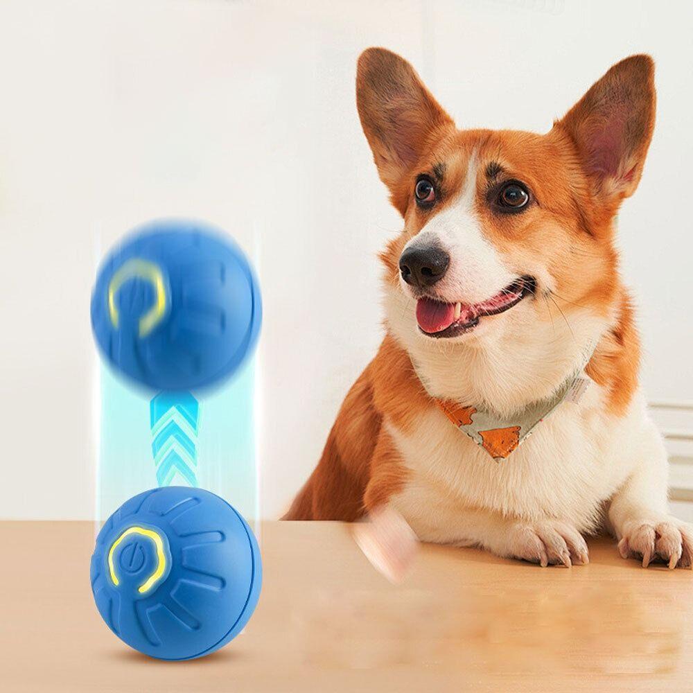 LED Dog Interactive Toy Ball Bite Resistant Automatic Jumping Ball NEW Teasing Dog Ball