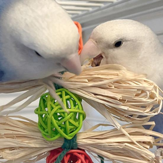 Yousheng Bird Playing Toy Bite Resistant Lanyard Teeth Grinding Healthy Parrots Macaws Bird Supplies for Pet Cage