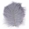 Natural Accessories Colorful Jewelry Making Clothing Decoration Home Decor Ostrich Feathers Plumas