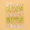 New Gold and Silver Number 0-9 Candle Children's First Birthday Party Decoration PVC Boxed Gold-plated Candle