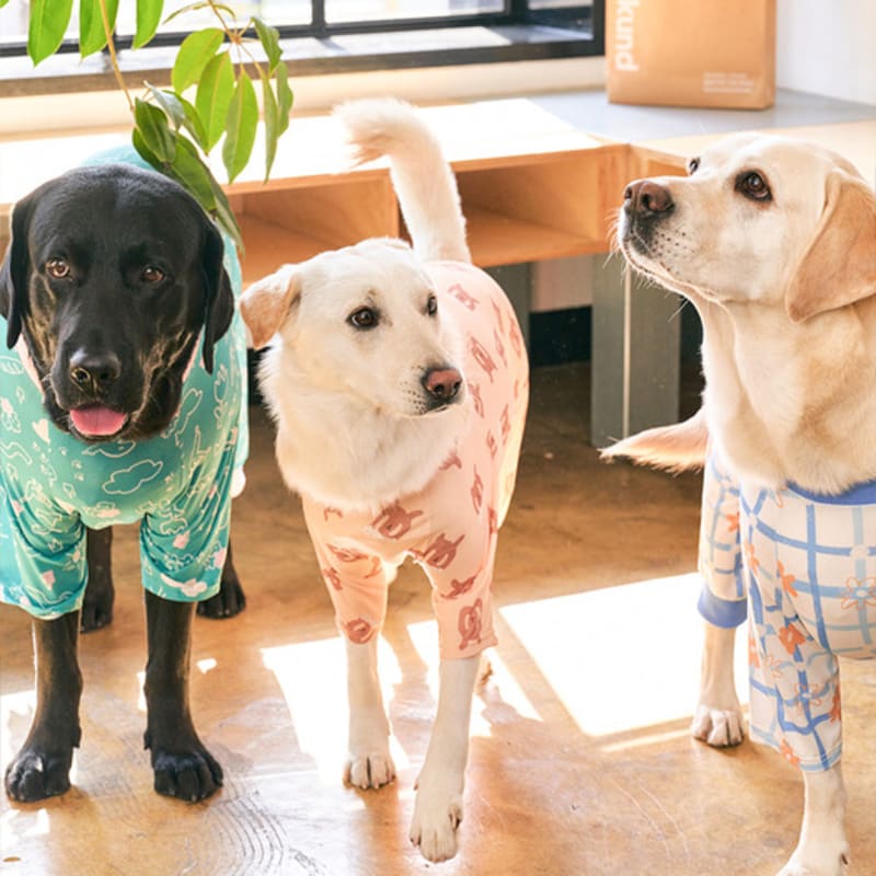 MUNIKUND Bug Guard All-In-One : Yellow Pretzel