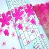 1 Meter Net Embroidery Lace, Hot Pink Floral Embroidery Mesh Fabric Lace for Dress, Lingerie, Bra, Underwear, Garment, DIY Sewing