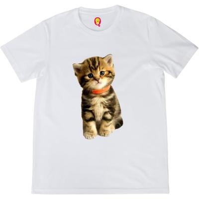 Quirkipedia Cat Image Cats Pets, Cute Summer-22 Mens Tshirts Halfsleeve