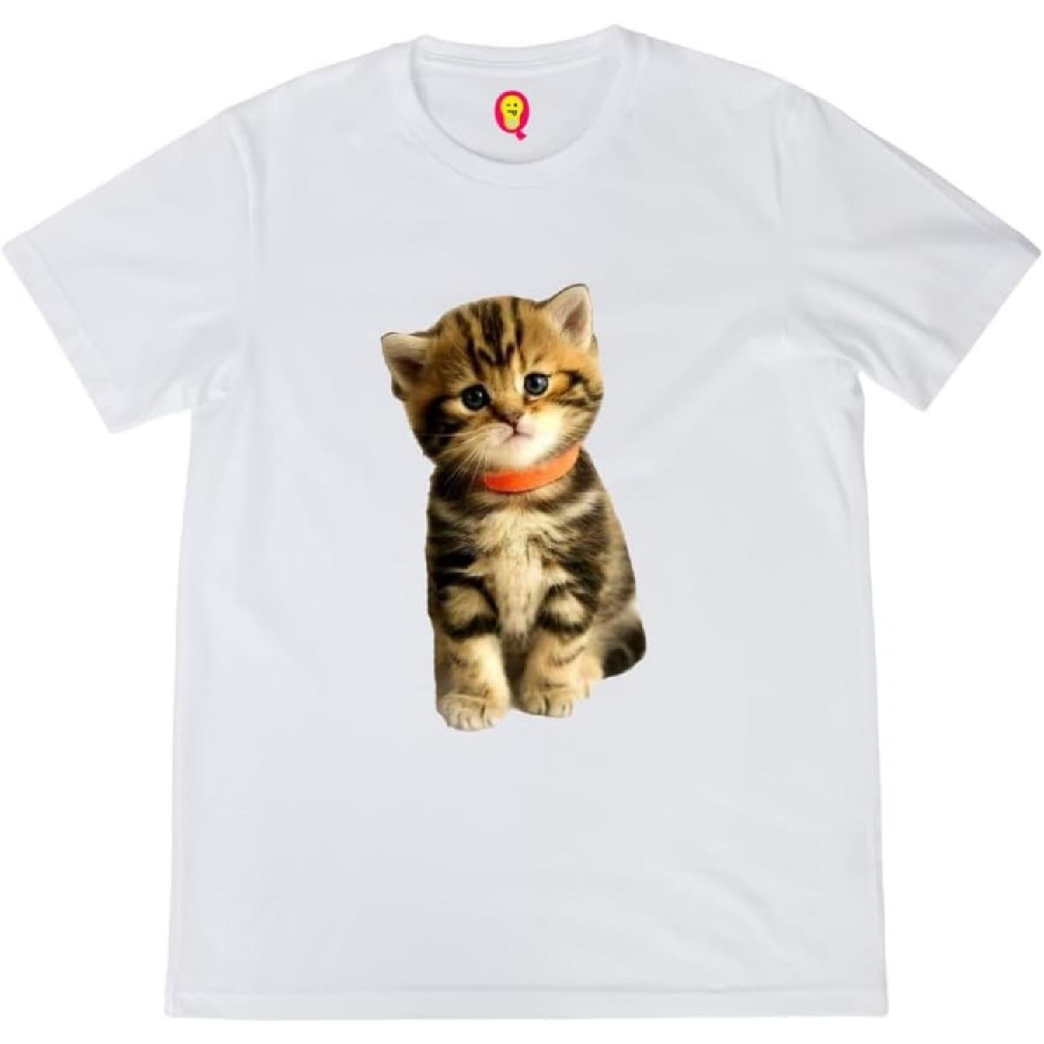 Quirkipedia Cat Image Cats Pets, Cute summer-22 Mens Tshirts Halfsleeve XXXXXL белый