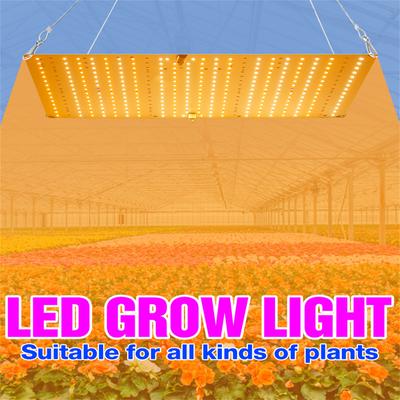 Lampe de croissance à LED à spectre complet pour plantes, phytolampe, culture hydroponique de graines et de fleurs, boîte de culture 3000 W Quantum