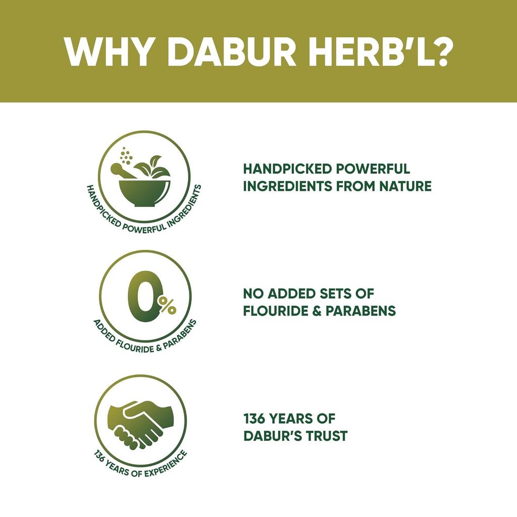 Dabur Herb'l Neem Toothpaste 600g Pack Of 3 | Fluoride Free Paraben Free Natural Oral Care | Germ Protection With Neem