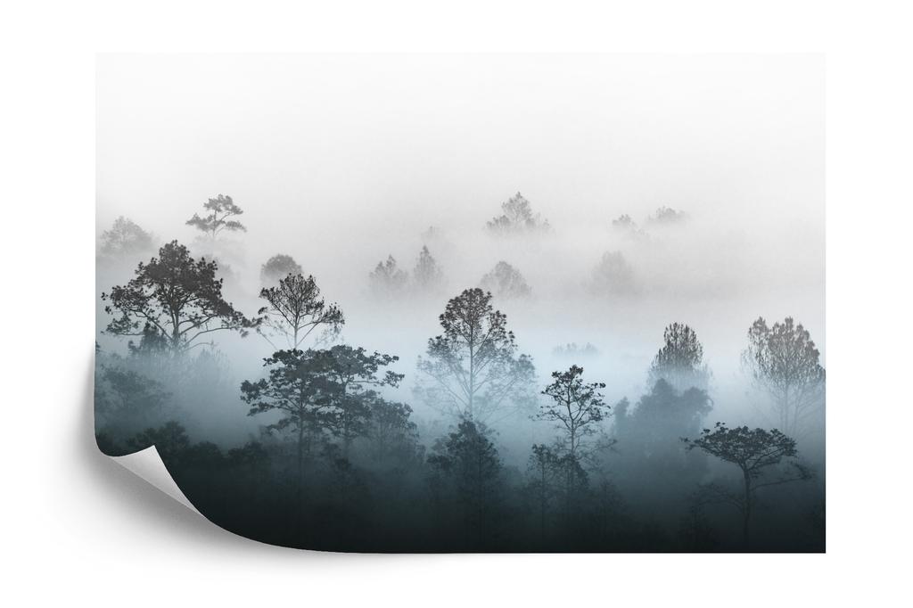 Photomural Forest In Fog Non-Woven 368x254