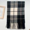 Imitation Cashmere Autumn and Winter Korean Thermal Scarf Student Atmosphere Versatile Shawl New Women's Ins Style Scarf