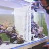 1Set Durable Plastic Fish Grid Divider Holder Fish Tank Tray Egg Crate Aquarium Tank Filter Bottom Isolate Pane