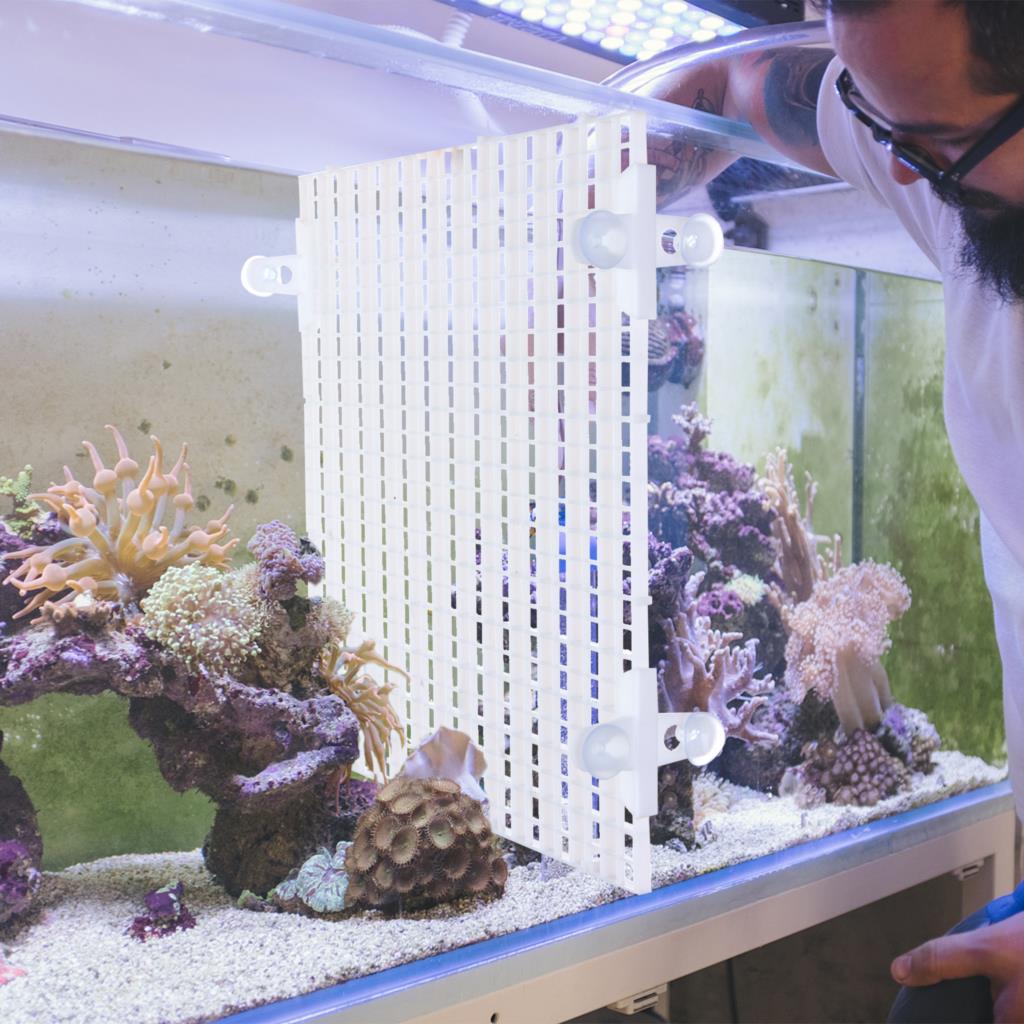 1Set Durable Plastic Fish Grid Divider Holder Fish Tank Tray Egg Crate Aquarium Tank Filter Bottom Isolate Pane