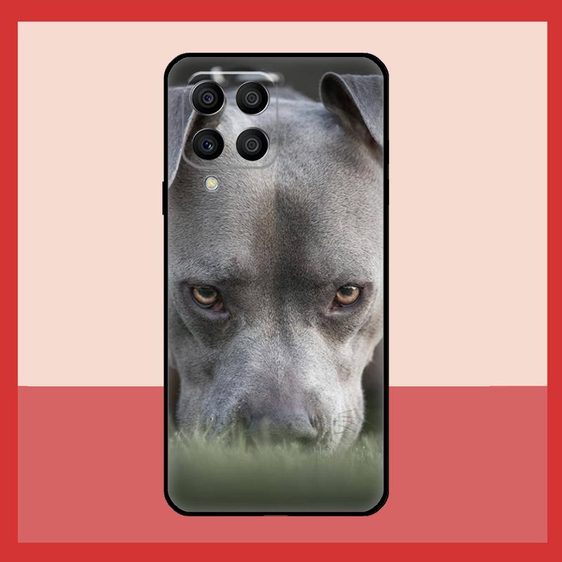 Pit Bull Lovely Dog Pitbull Case For Samsung Galaxy M52 M32 M53 M16 M11 M21 M31 M35 M12 M13 M14 M15 M36 M56 M55 M34 M54