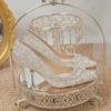 Fashion Luxury Crystal Tassels Bride Shoes for Women Pointed Toe Thin Heels Shiny Pumps Woman Slip-On Rhinestones High Heel Shoes