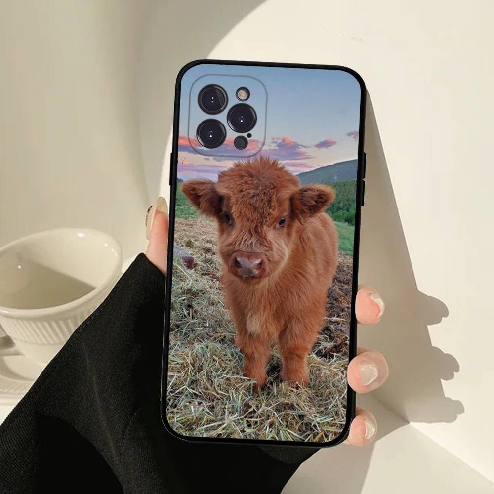 Lovely Animal Highland Cattle Phone Case For IPhone 16 15 14 13 12 Mini 11 Pro XS Max X XR SE 6 7 8 Plus Soft Silicone Cover