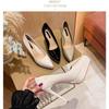 Nude Platform Heels Women's Spring 2025 New Patent Leather Stiletto Pointed Toe Single