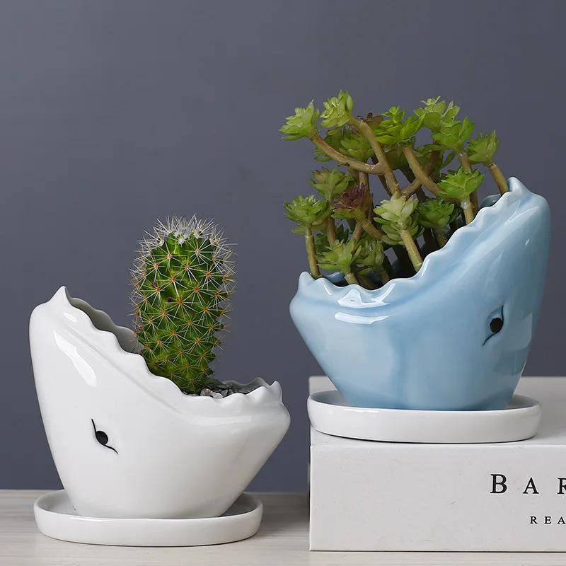 Creative Shark Ceramic Succulent Planter with Tray - Unique Animal Shape Flower Pot for Cactus/Bonsai/Indoor Plants - H