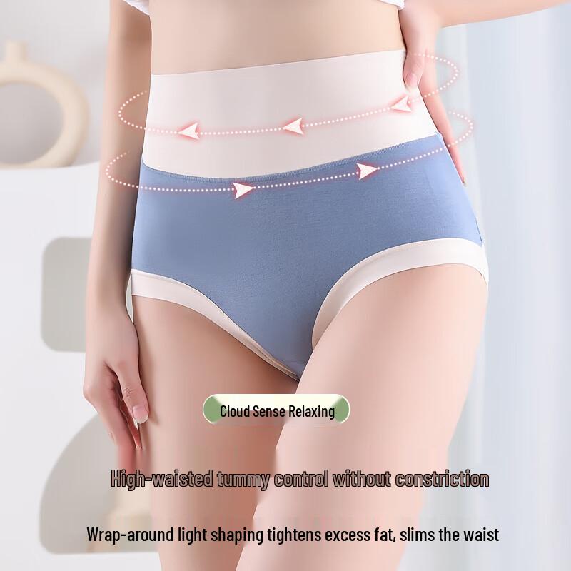 LangSha Women's Mid-High Waist Tummy Control Modal Briefs 4-Pack