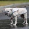 Waterproof Raincoat Dog Vest Rainy Dog Costumes Cover Reflective Strip Pet Rain Jacket Dustproof Dog Clothes with Hat
