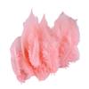 100PCS Stylish Plumage Trims For Enthusiasts Addition To Accessories And Festival Decoration