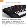ARTURIA Minifreak Synthesizer 37-Key