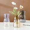 Modern Minimalist Transparent Glass Vase  Gradient Color Vase for Water Gardening Floral Decoration and Table Centerpiece