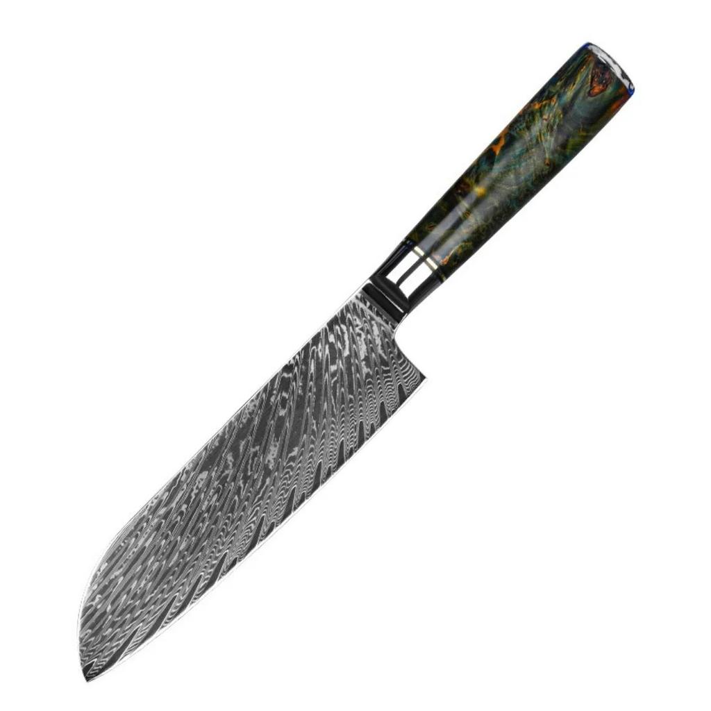 Japanese Damascus Chef Knife - 67 Layer Steel with Abalone Handle - Professional Sharp Kitchen Knife for Cooking & Slicing