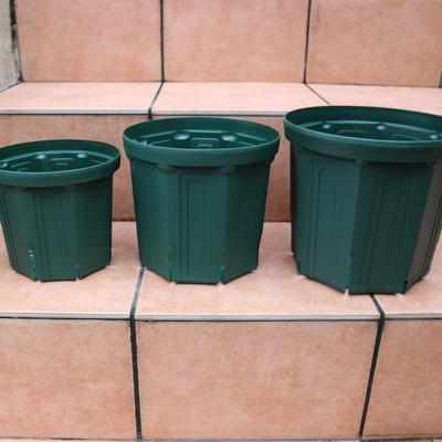 Namų dekoras – Dekoratyviniai gėlių vazonai