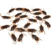 10pcs Funny Fake Cockroach Toys Halloween Decoration Jokes Pranks Maker Novelty Tricks Simulation False Animals for Party Adult