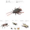 Vibrant Realistic Insect Models Collection With Butterflies Beetles Ants Spiders And Roaches Crafted From High Quality Pvc