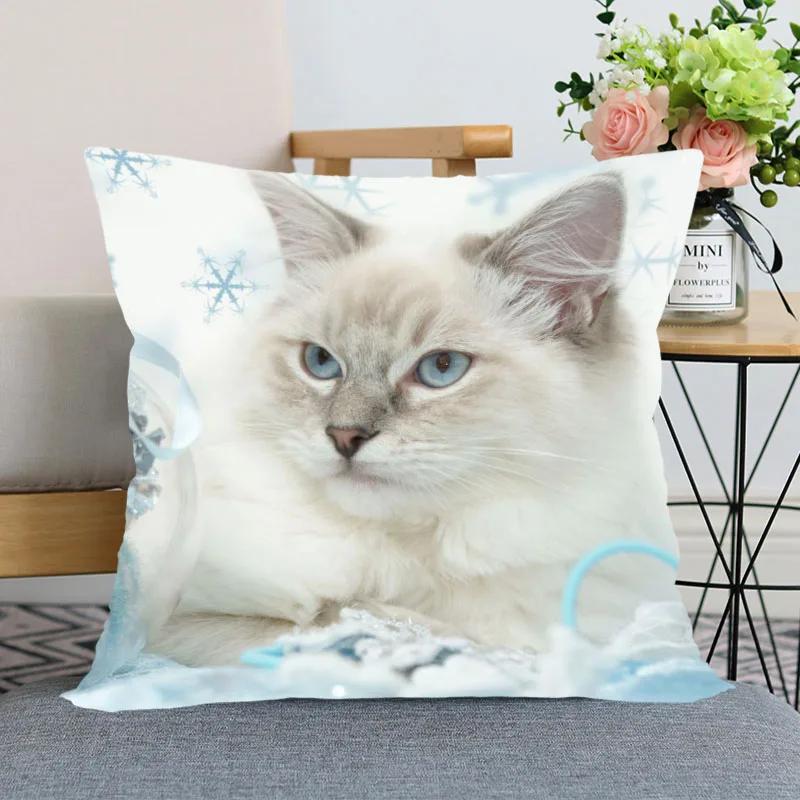 

Милая наволочка для кровати с изображением животных для автомобиля, дивана, домашнего питомца, кошки, наволочка с принтом 45x45cm