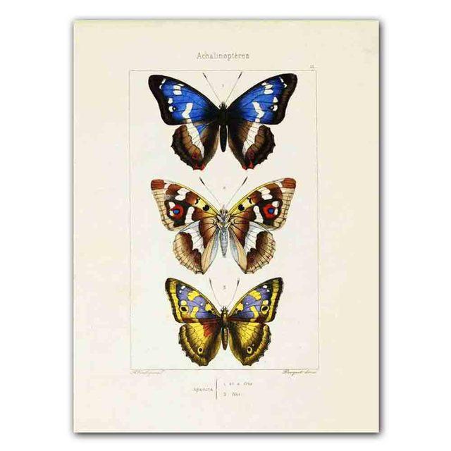 Nordic RETRO Art Canvas Painting Butterfly Insect Evolution Poster Living Room Corridor Wall Painting Home Decoration Mural No Frame