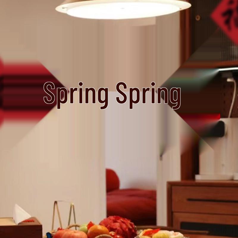 2025 Year of the Snake Spring Festival Lantern Pendant with Honeycomb Ball Decorations for New Year Wall or Door Hanging