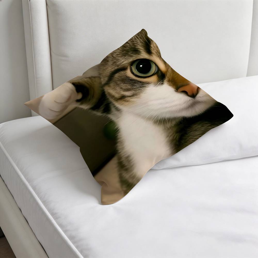 Funny Cat MeMe Decorative Square Pillow Cover Soft  Comfortable Pillow Case Sofa Bed Home Decoration