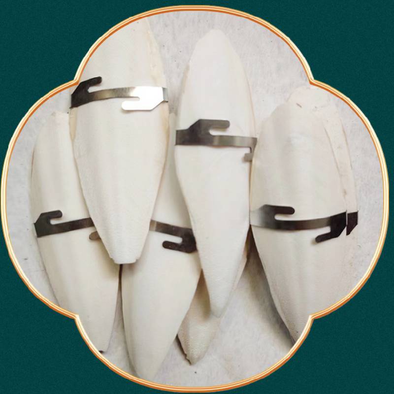 Pet Bird Chewing Treats With Odorless Calcified Cuttlefish Bone For Parrots And Small Birds
