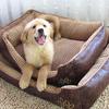 Hot Sale Large Dog House Bed Waterproof Comfortable Pet House Big Dog Beds Kennel Puppy Indoor Pet Products ZL79