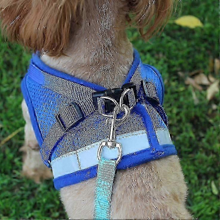 Cat Harness, Cat Harness Escape Proof